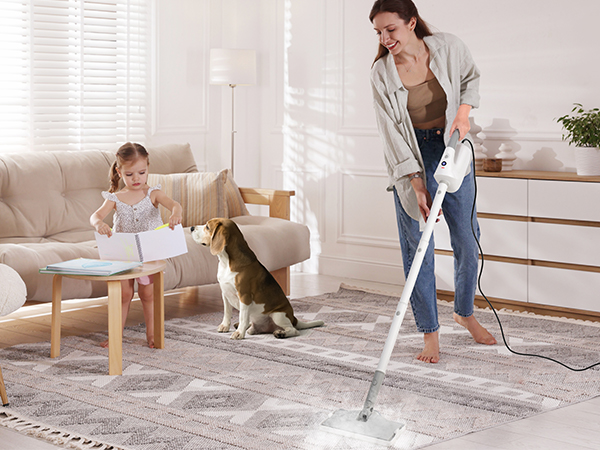 steam mop