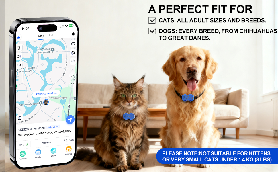 Fit For CATS AND DOGS