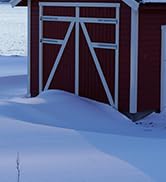 ECO-WORTHY 200 Watt Bifacial Solar Panel 2pcs 100 Watt Monocrystalline Solar Panel Module Off Gri...