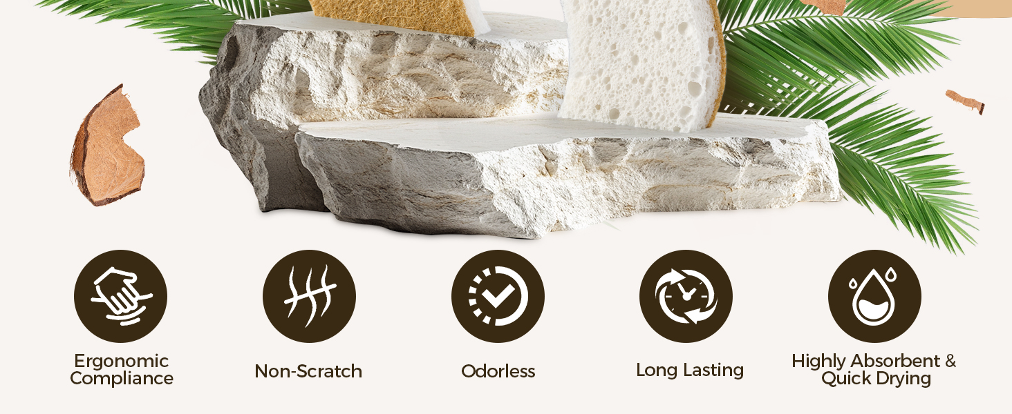 plant based sponges