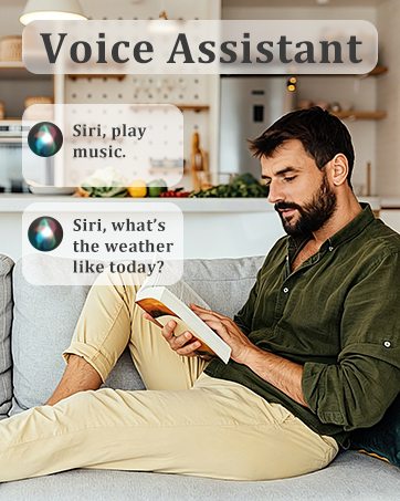 Voice Assistant