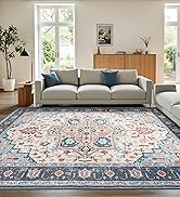Washable Area Rug for Living Room