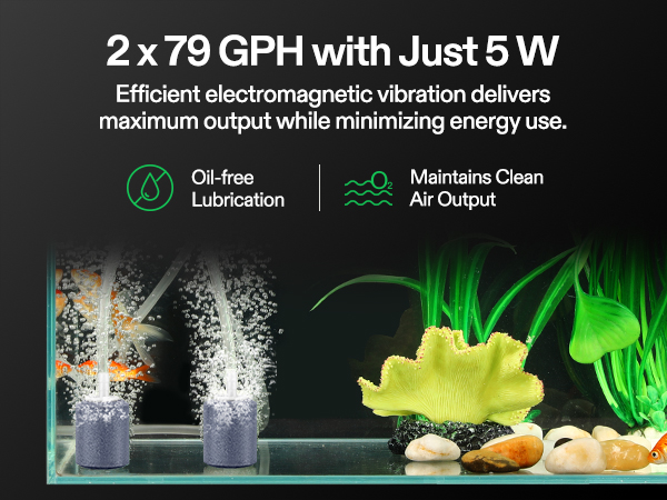 160 GPH Dual-Outlet Air Pump and Complete Accessories