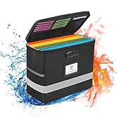 Hanging File Organizer, Fireproof Desktop File Holder with Lock, Suitable for Hanging File Folder...