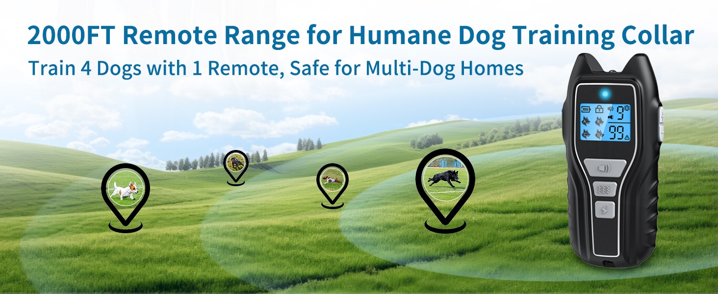 dog training collar 3