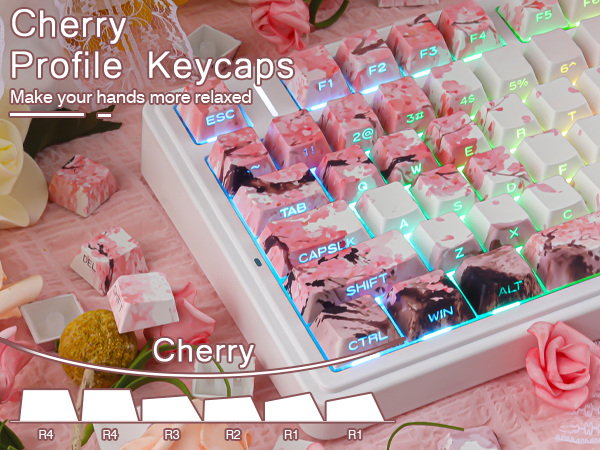 Pink Cherry Blossom Shine Through Keycaps