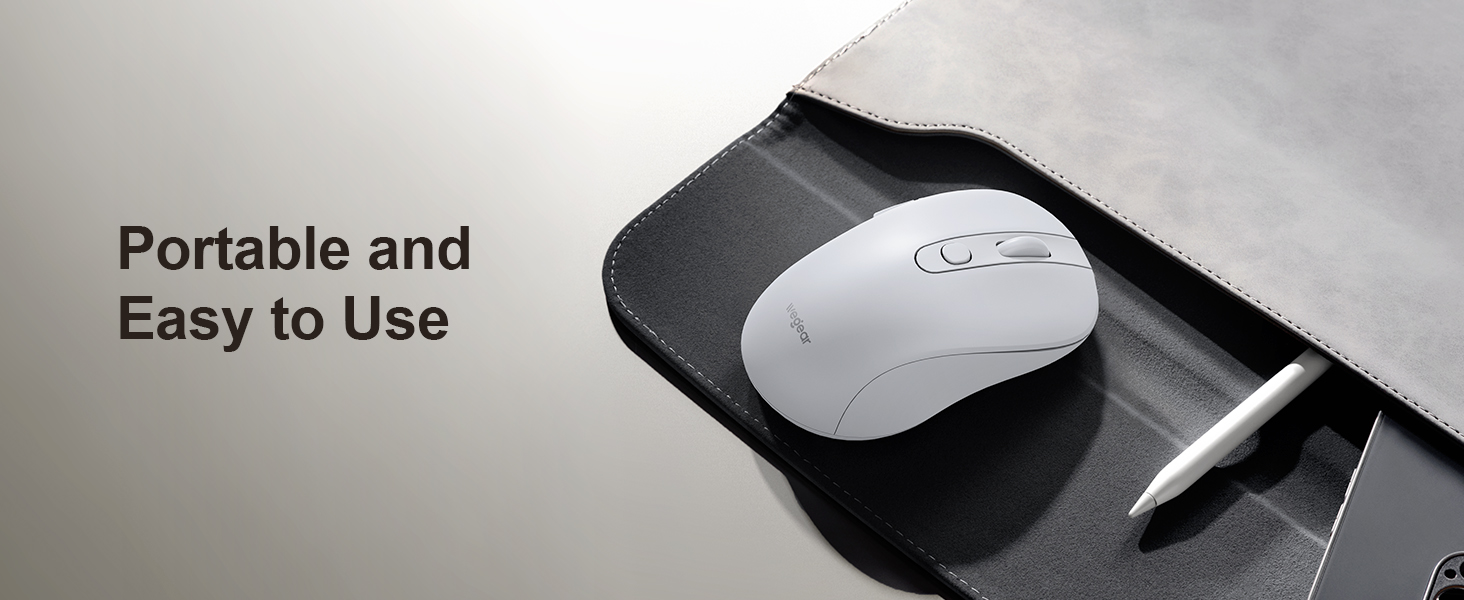 computer mouse