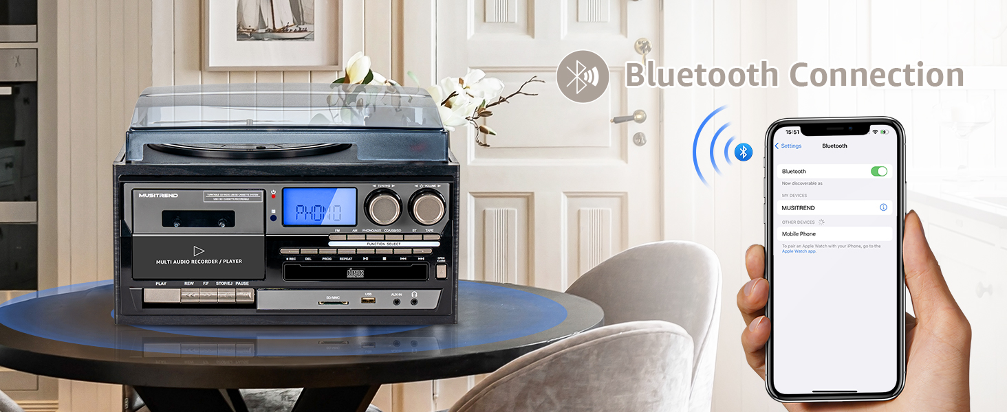 9 in 1 Record Player