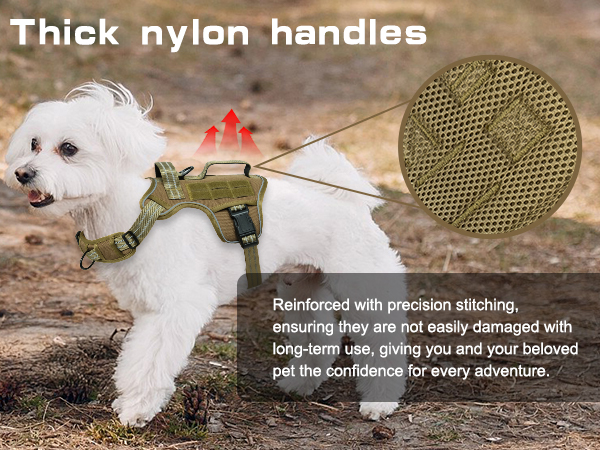 dog harness