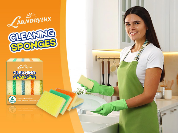cleaning sponges