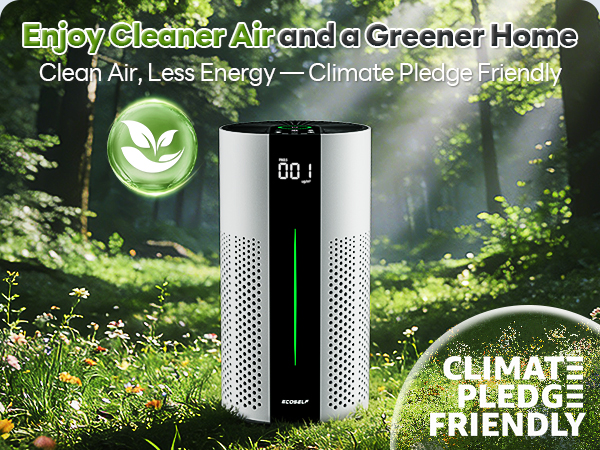airpurifier for home
