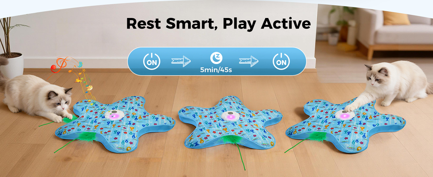 interactive cat toy