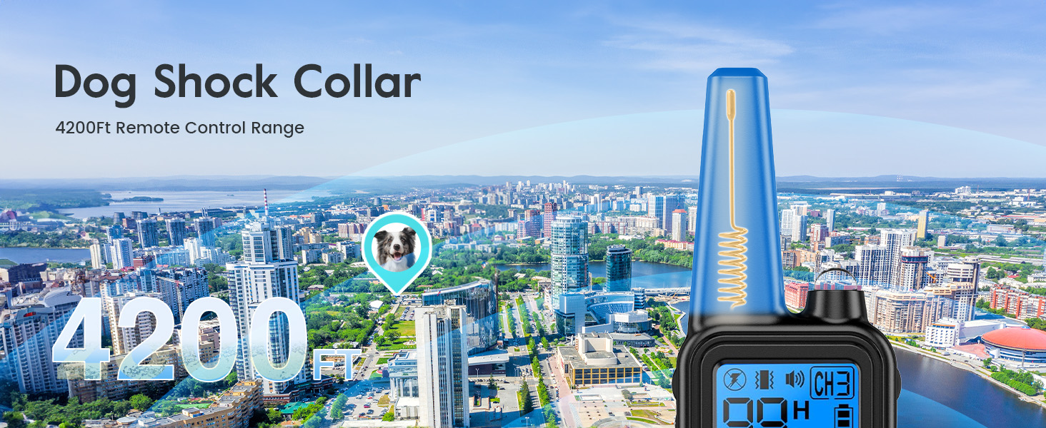 shock collar for dogs