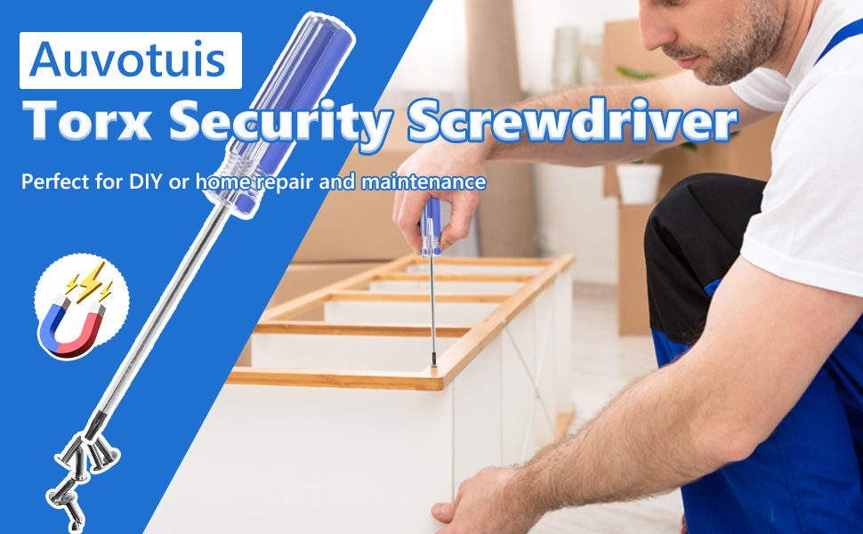 torx screwdriver