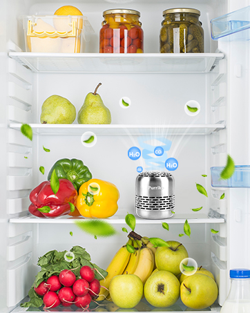 Keep Fridge Fresh and Healthy