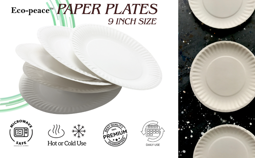 Paper Plate 9 inch