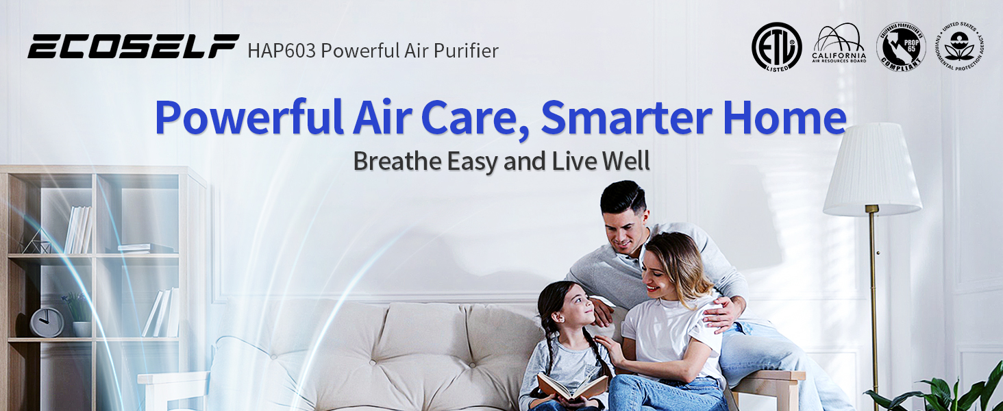 air purifier