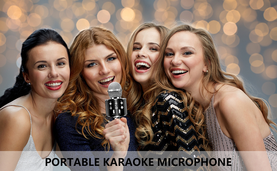 Portable Karaoke microphone