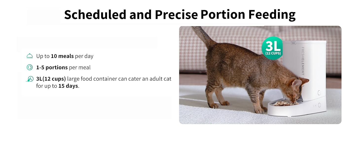 schedule feeding and portion control