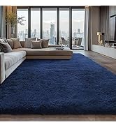 Shag Area Rugs for Bedroom Living Room,5X8 Ultra Soft Fluffy Area Rugs for Dorm, Indoor Carpet Nu...