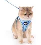 blue cat harness leash set