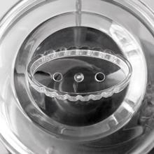 electric food processor 2 cup