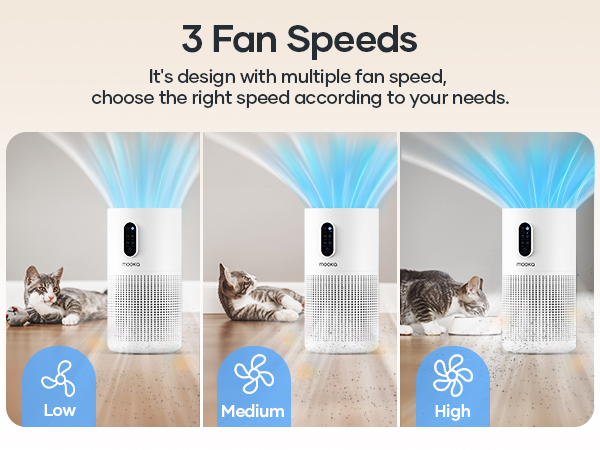 air purifier with 3 fan speeds