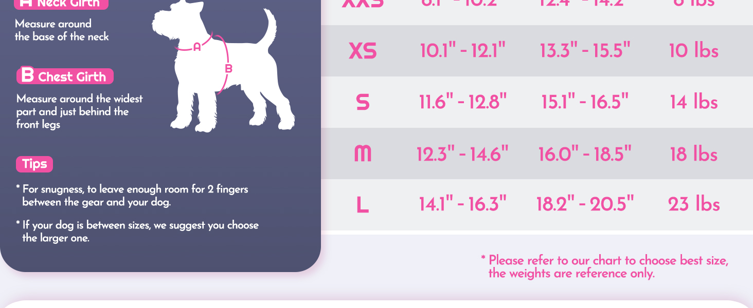 dog harness and leash set small dog