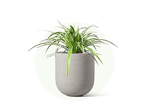 indoor planter