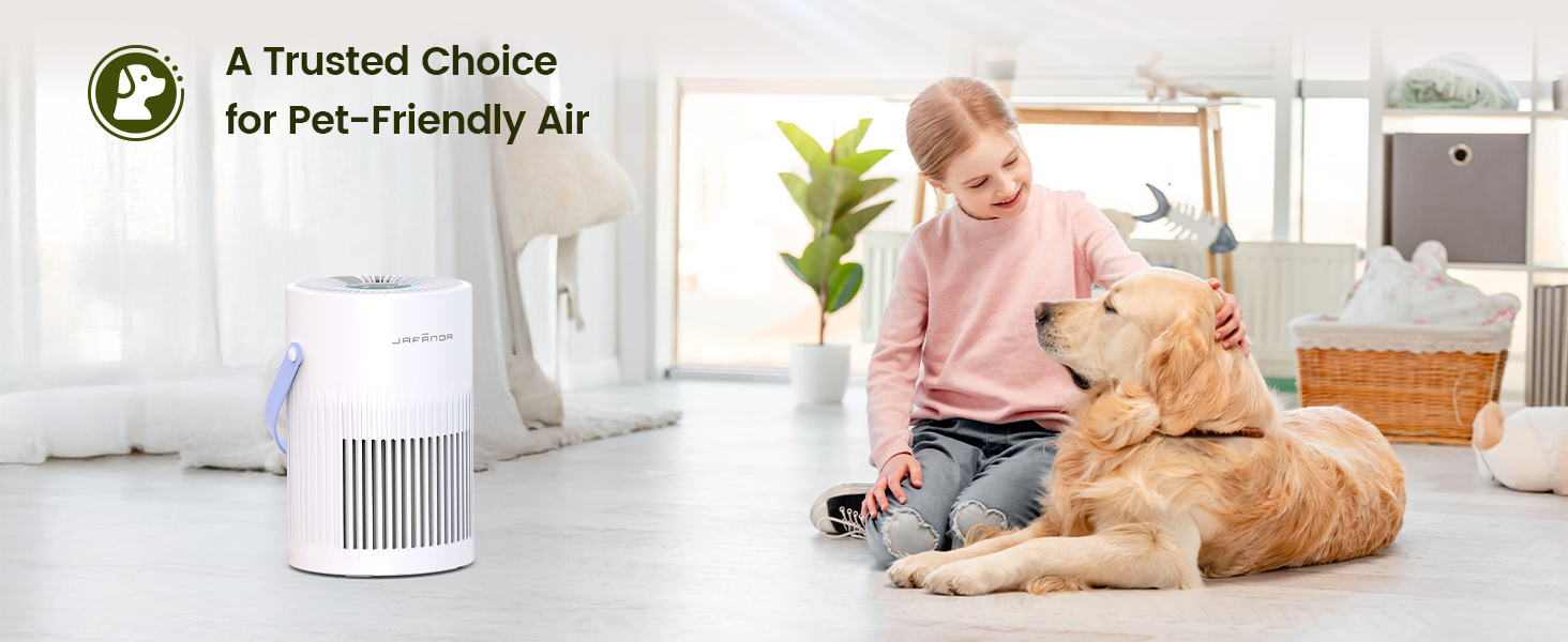 Air purifiers for home