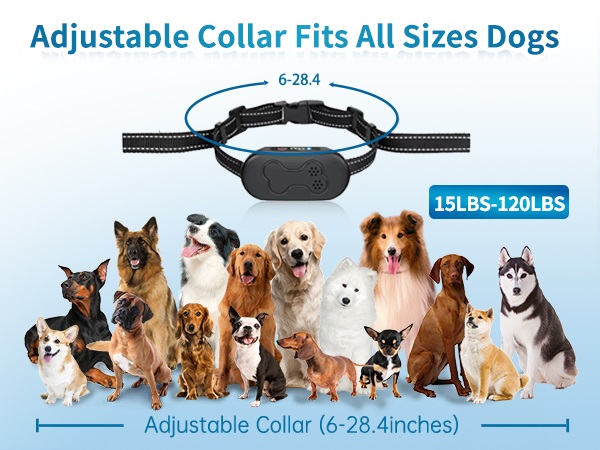 dog shock collar with remote control 3