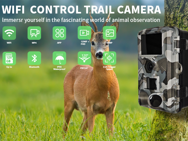 Hunting &amp;amp;amp; Trail Cameras