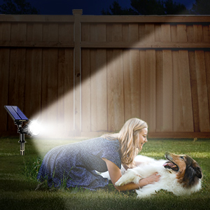 solar spotlights outdoor