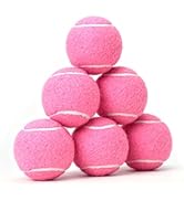PHOEPET 6-Pack Tennis Balls for Dogs, Bulk Rubber Ball for Fetch Chew Toys Beginner Training Prac...
