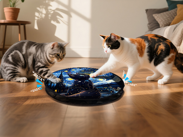 CAT TOY