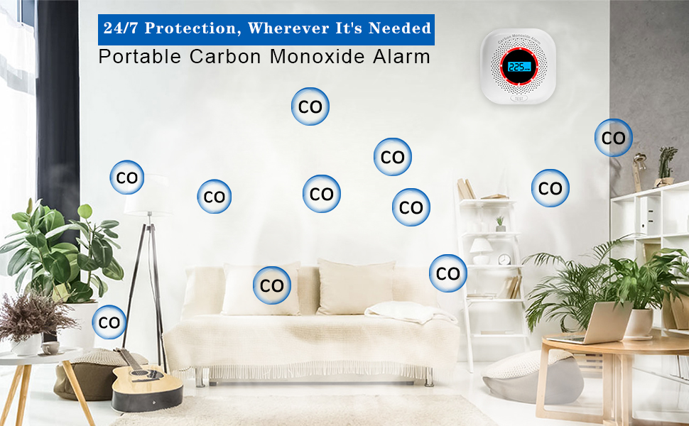 Carbon Monoxide Detector