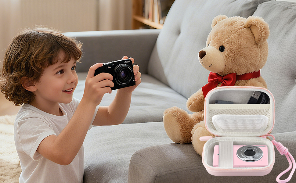 CCD camera case