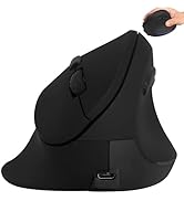 Wireless Mouse Ergonomic Vertical Mouse for Large Hands Big Quiet Silent Ergo Blue LED Light 3600...