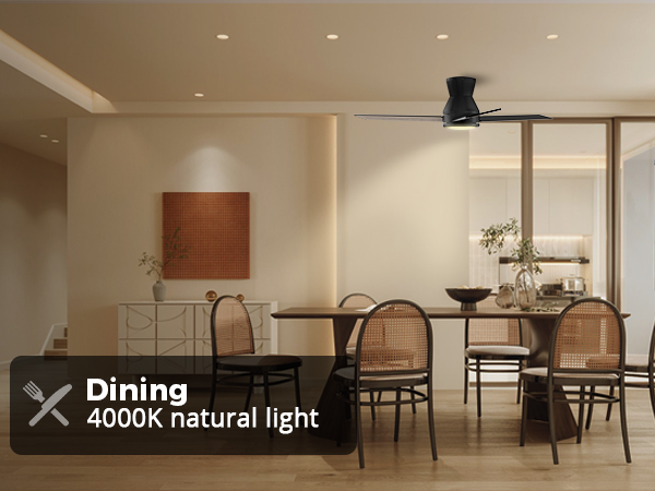 Ceiling Fans with Lights