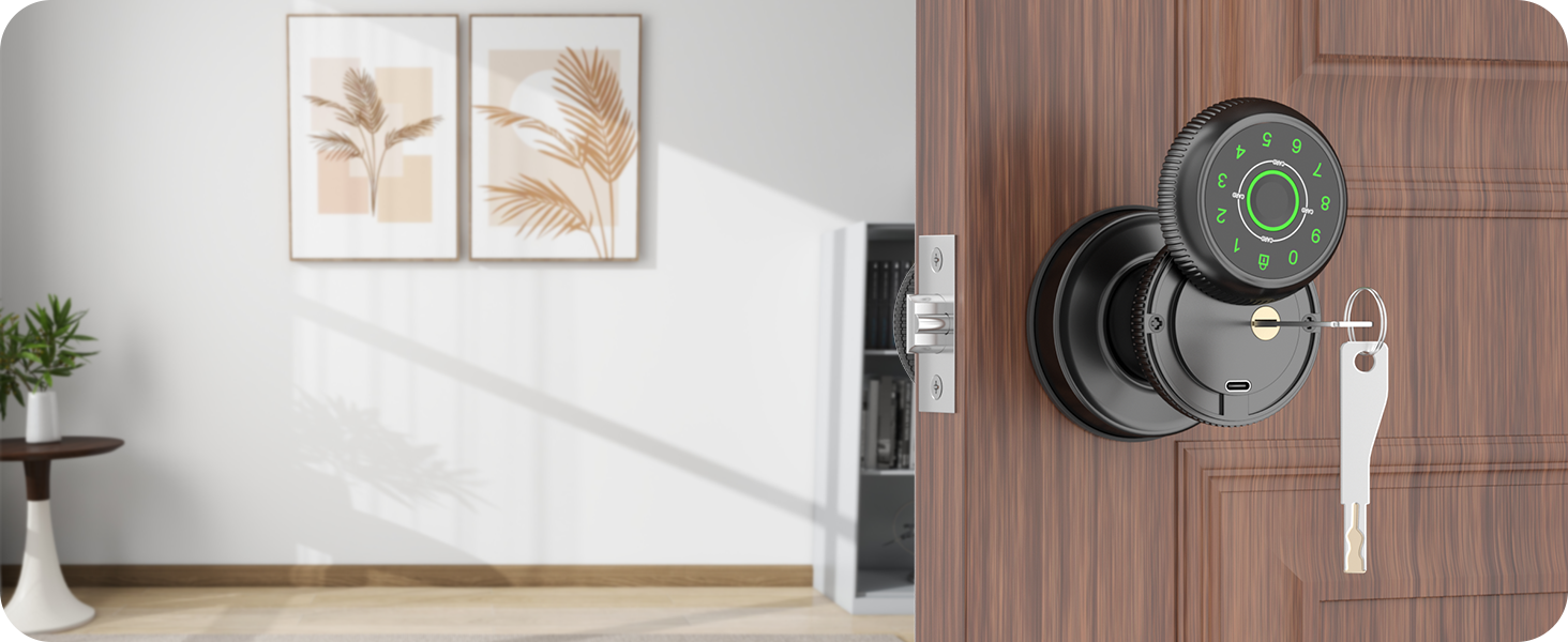 digital Door Knob Key Unlock