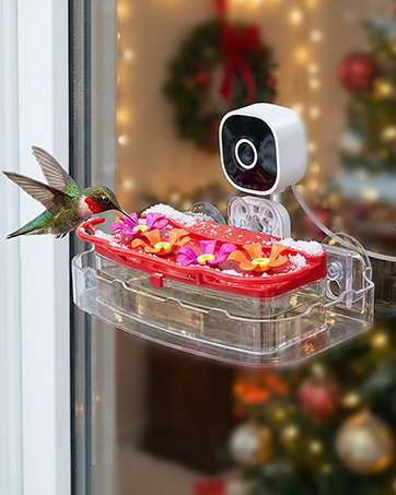 window hummingbird feeder