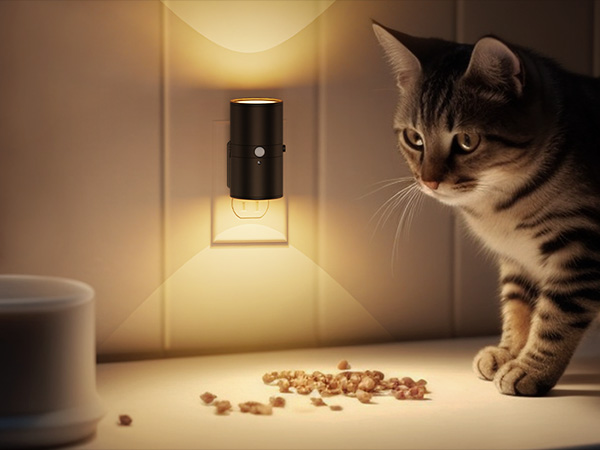 Motion Sensor Night Light