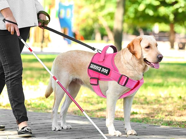 hot pink service dog harness