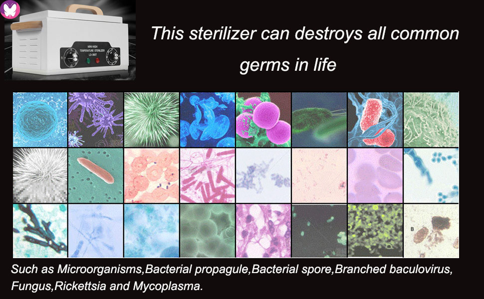 High Temperature Nail Tool Sterilizer