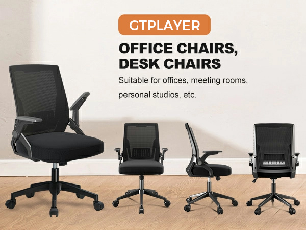 Ergonomic Office Chair