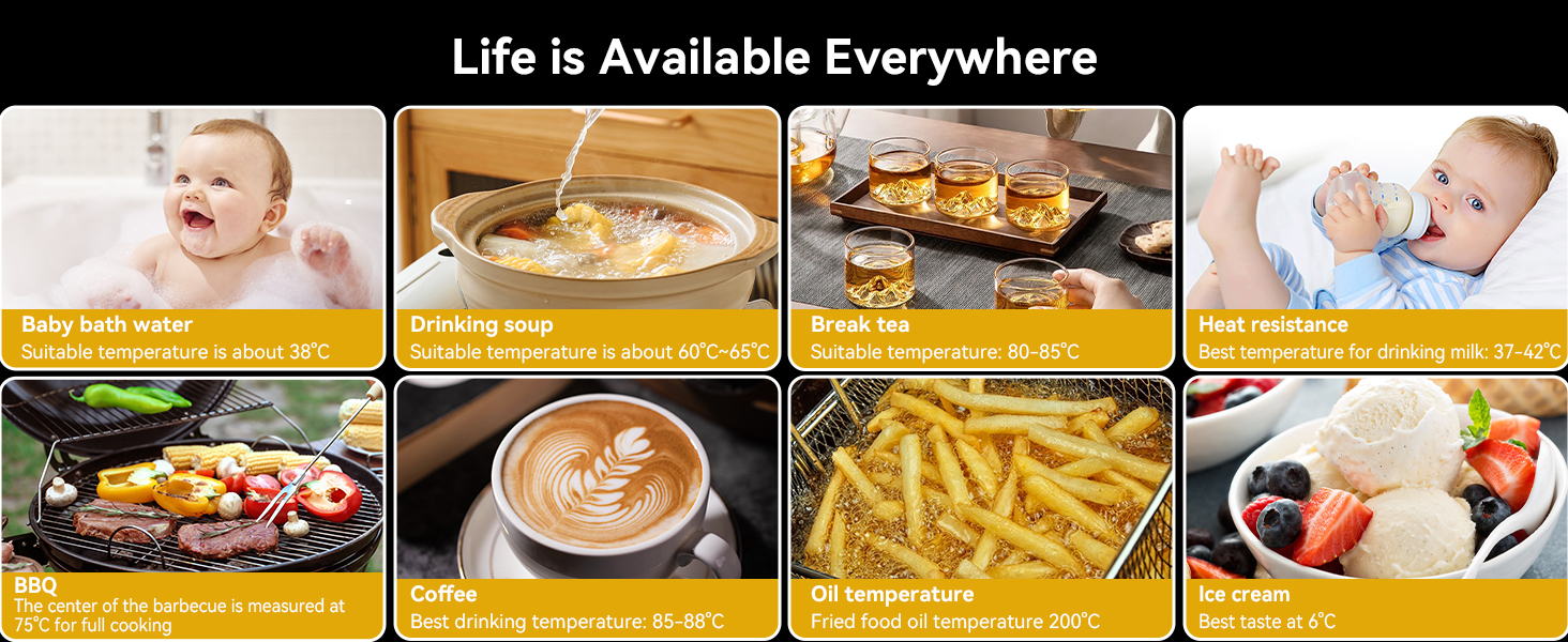 thermometer for cooking