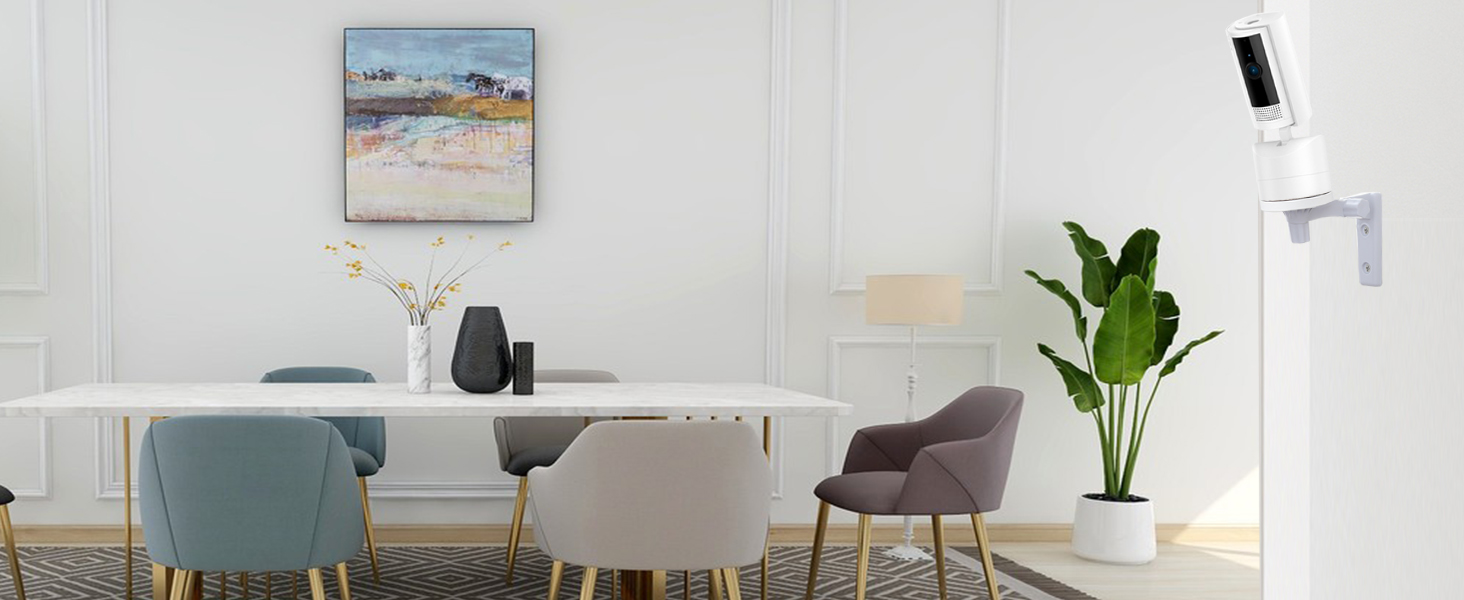 ring pan tilt cam mount