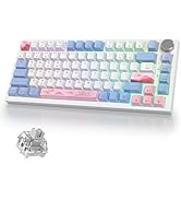 iRoboosta 400PRO 75% Wireless Mechanical Keyboard with Knob, Gasket Hot Swappable RGB Gaming Keyb...