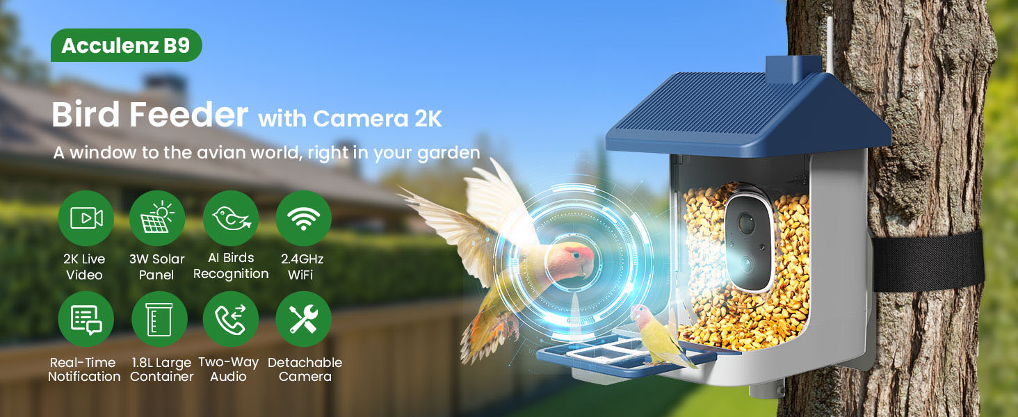 bird feeder with camera