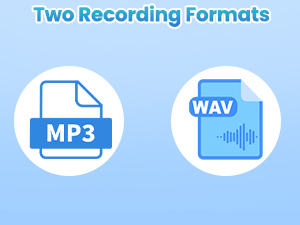 Two Recording Formats